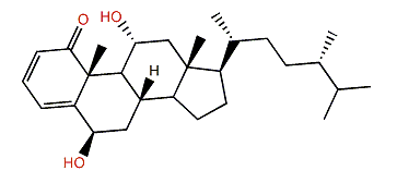 Stoloniferone E